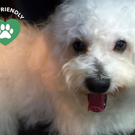 Bergamo Inn 15 Екстер'єр фото The restaurant is pet friendly