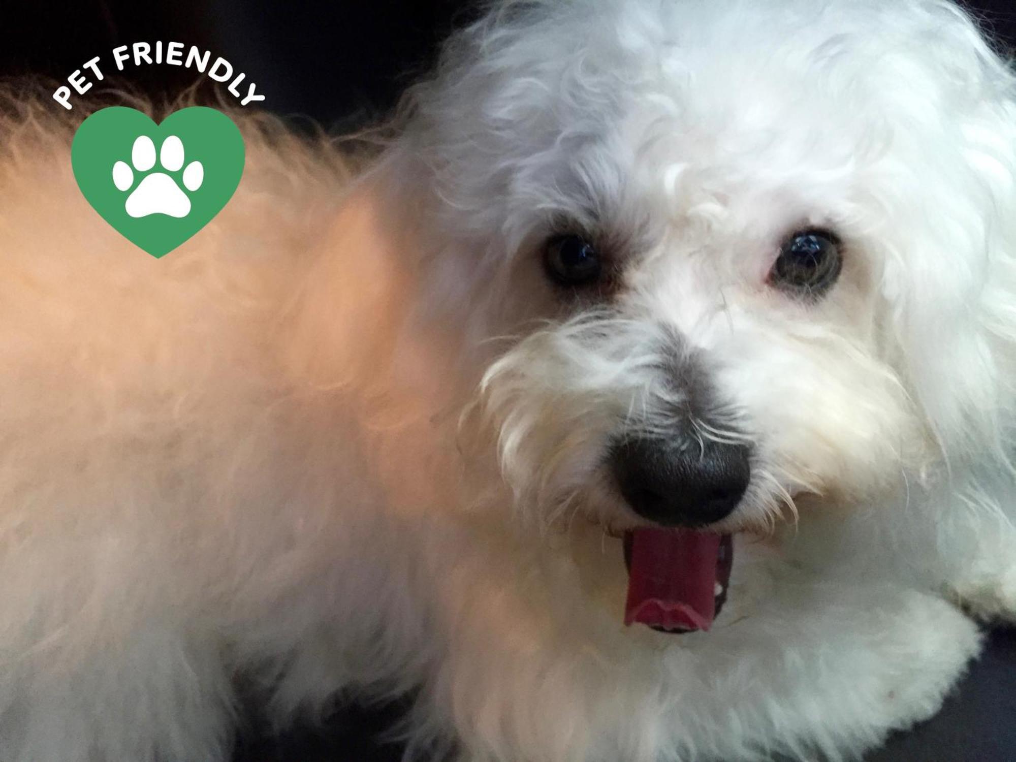 Bergamo Inn 15 Екстер'єр фото The restaurant is pet friendly